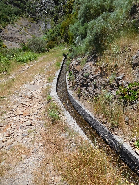 Levada das Rabacas — : Bis zum ersten kessel 2016 — photo 3