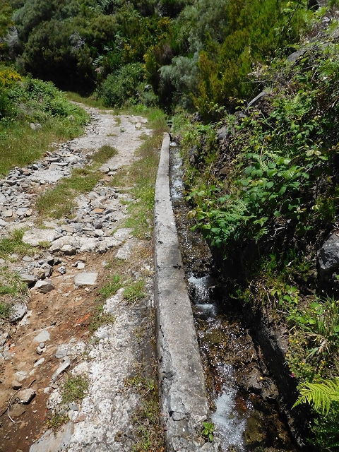 Levada das Rabacas — : Bis zum ersten kessel 2016 — photo 5