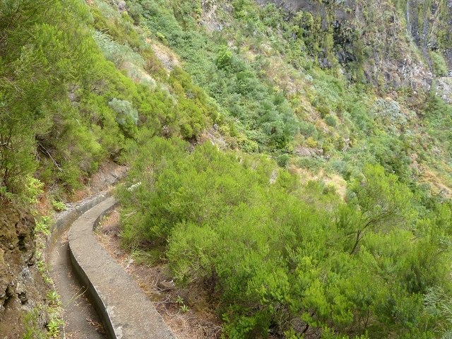 Levada das Rabacas — : Im ersten -Kessel (westliche Seite) — photo 6
