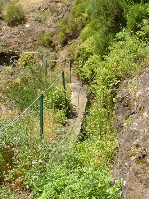 Levada das Rabacas — : Im ersten -Kessel (westliche Seite) — photo 7