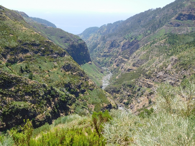 Levada das Rabacas — : Weiter bis zum langen Tunnel im zweiten -Kessel — photo 10