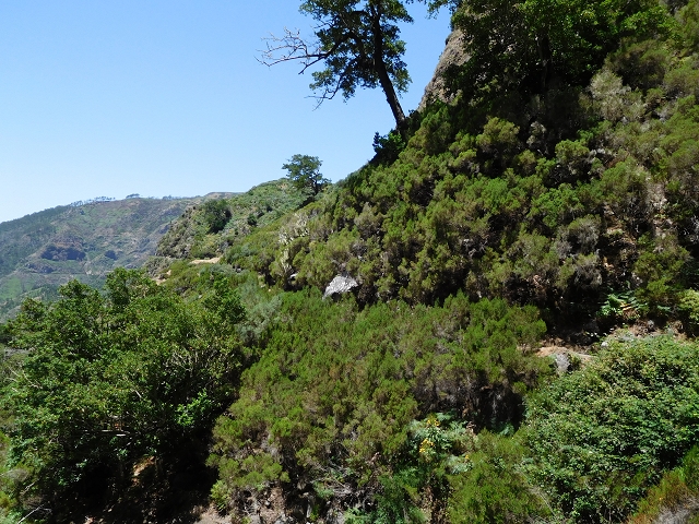 Levada das Rabacas — : Weiter bis zum langen Tunnel im zweiten -Kessel — photo 19