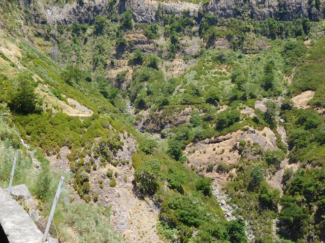 Levada das Rabacas — : Zuführende Levada — photo 1
