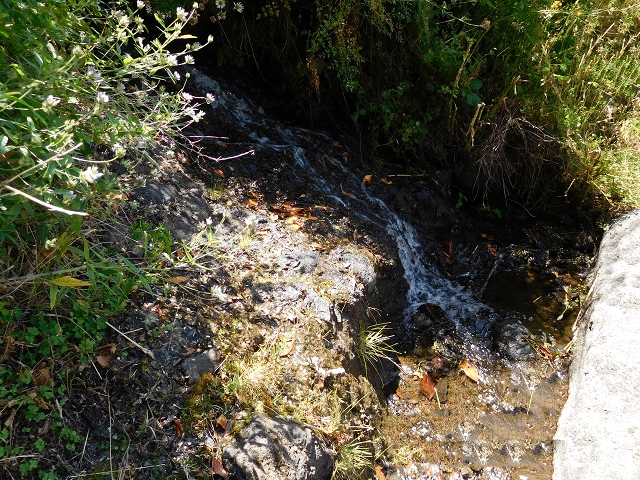 Levada das Rabacas — : Zuführende Levada — photo 2