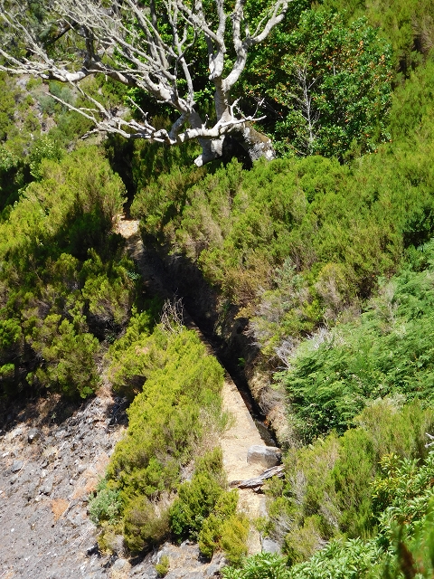 Levada das Rabacas — : Zuführende Levada — photo 3