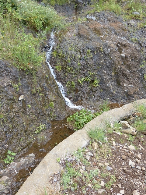 Levada das Rabacas — : Bis zum ersten kessel 2013 — photo 6