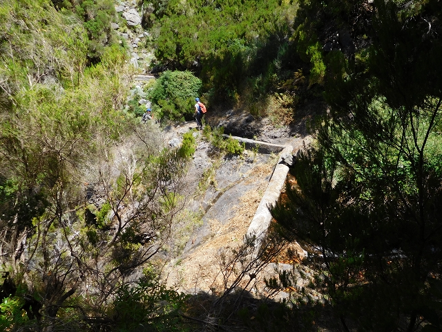 Levada das Rabacas — : Zuführende Levada — photo 8