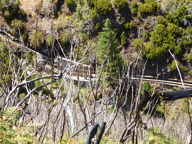 Levada das Rabacas — : Zuführende Levada — photo 1