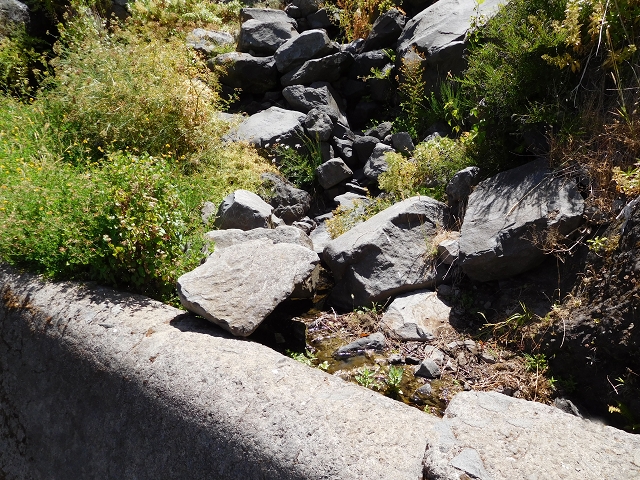 Levada das Rabacas — : Zuführende Levada — photo 2