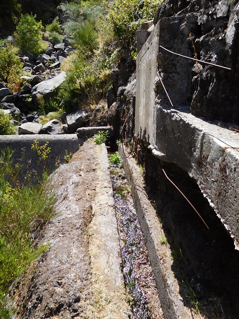 Levada das Rabacas — : Zuführende Levada — photo 3