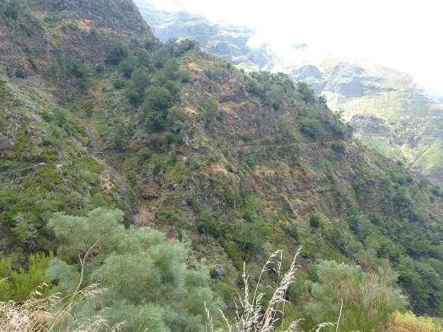 Levada das Rabacas — : Bis zum ersten kessel 2013 — photo 7