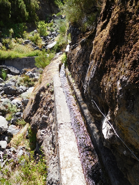 Levada das Rabacas — : Zuführende Levada — photo 4