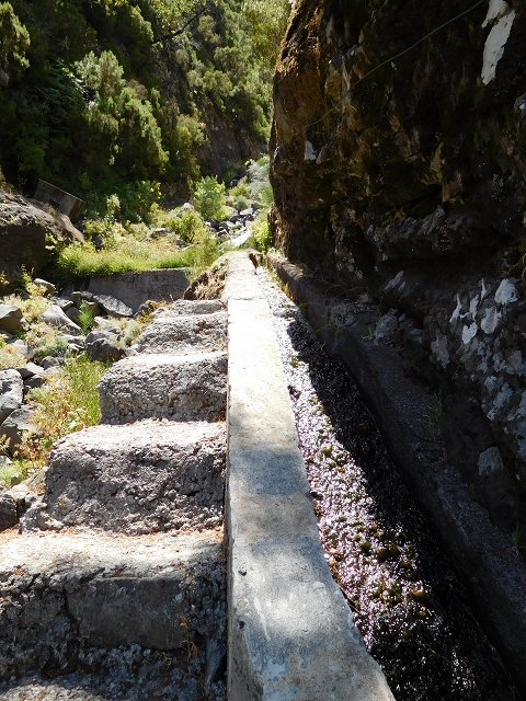 Levada das Rabacas — : Zuführende Levada — photo 5