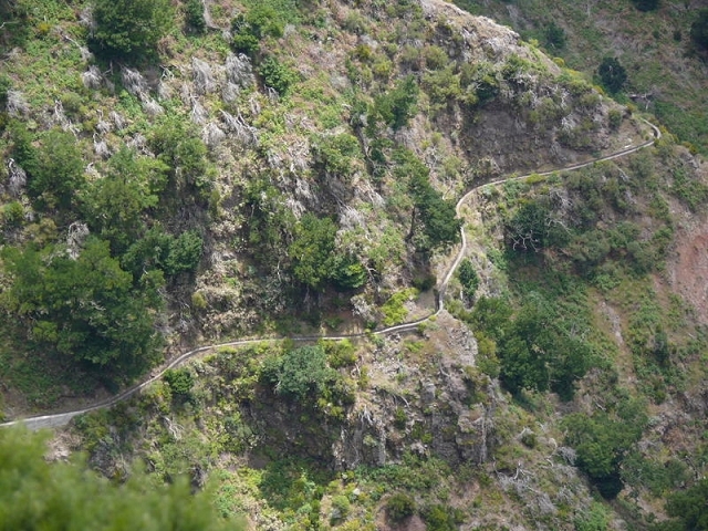Levada das Rabacas —  — photo 1