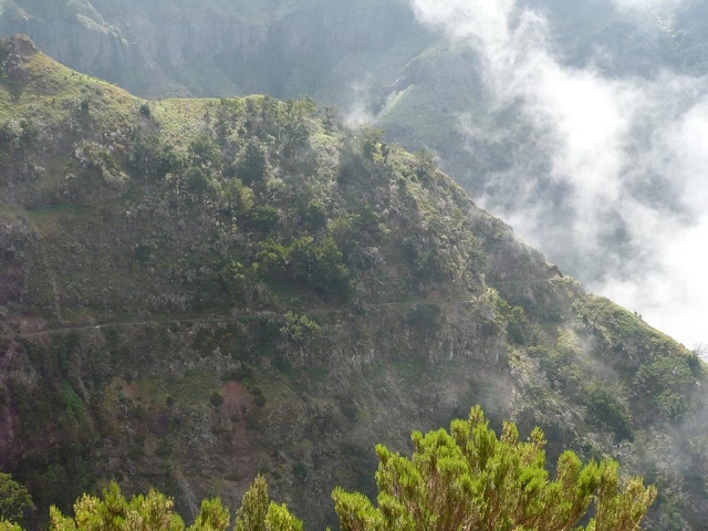 Levada das Rabacas —  — photo 2