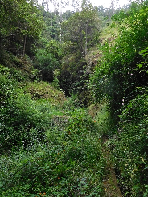 superior — foto 12