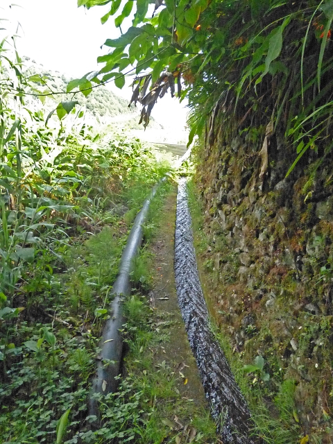 Levada de Boaventura — foto 10