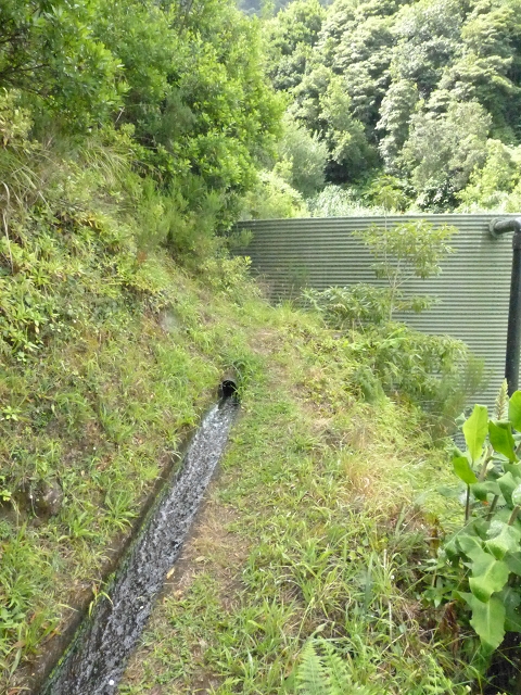 Levada de Boaventura — foto 12