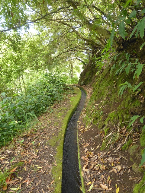 Levada de Boaventura — foto 14