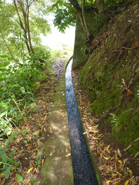 Levada de Boaventura — foto 15