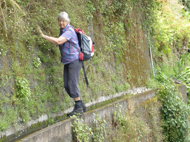 Levada de Boaventura — foto 17