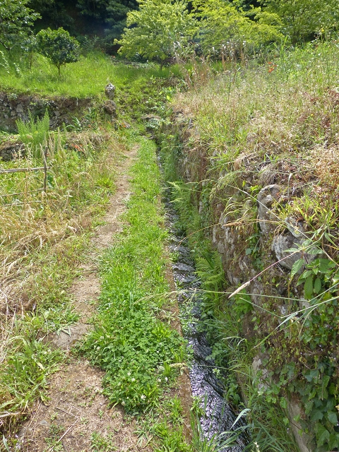 Levada de Boaventura — foto 4