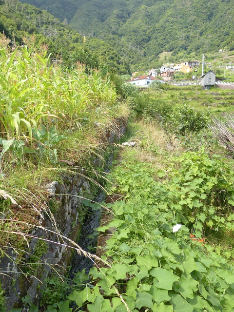 Levada de Boaventura — foto 5