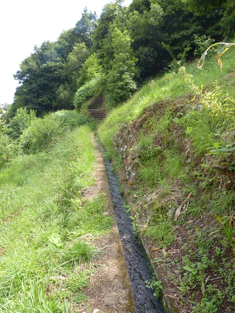 Levada de Boaventura — foto 6