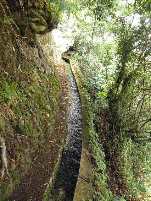 Levada de Boaventura — foto 8