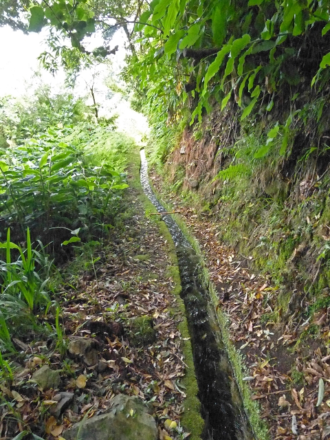 Levada de Boaventura — foto 9