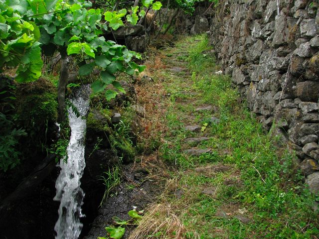 Levada do Chão da Ribeira —  — photo 8