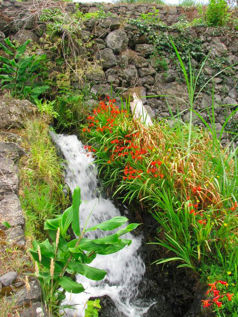 Levada do Chão da Ribeira —  — photo 3