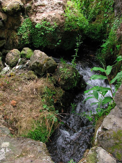 Levada do Chão da Ribeira —  — photo 7