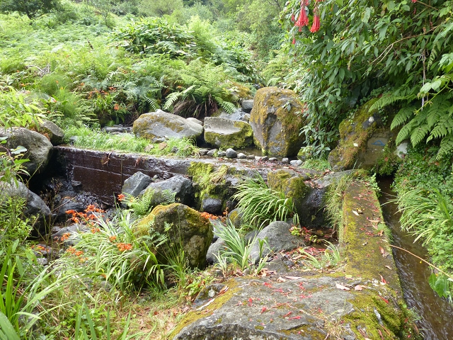 Levada de Cima (de Boaventura) — Foto 1