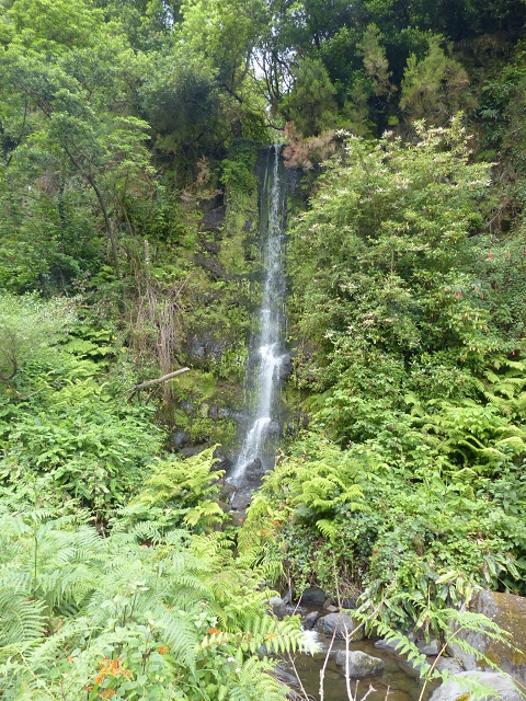 Levada de Cima (de Boaventura) — Foto 2