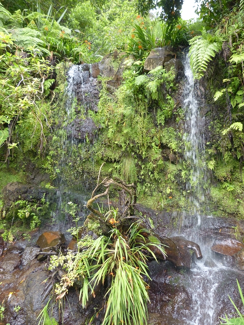 Levada de Cima (de Boaventura) — Foto 3
