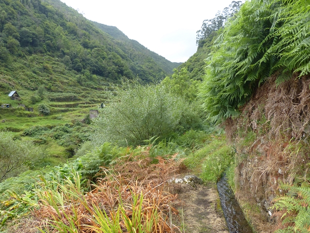 Levada de Cima (de Boaventura) — Foto 4