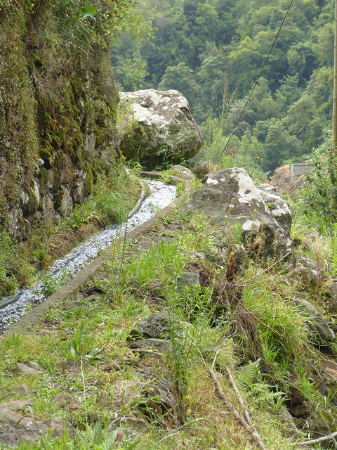 Levada de Cima (de Boaventura) — Foto 5