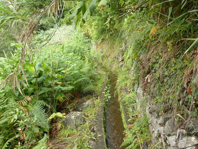Levada de Cima (de Boaventura) — Foto 8