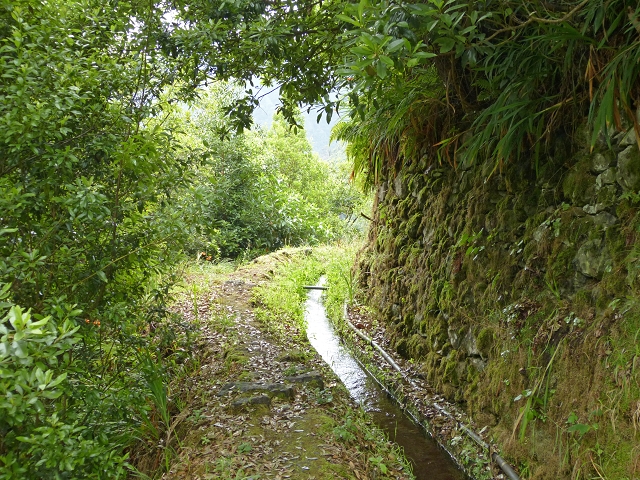 Levada de Cima (de Boaventura) — Foto 9
