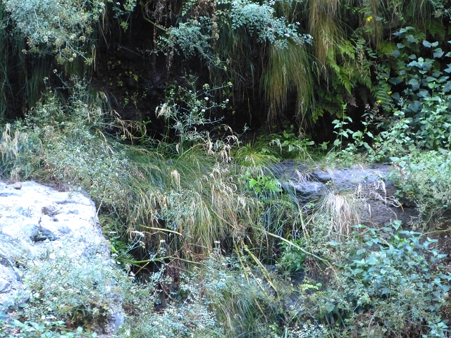 Levada de Santa Luzia — Levada de Santa Luzia (?) above the Centro tematico da Agua — photo 1