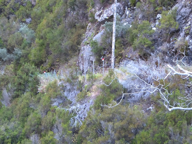 Levada de Santa Luzia — Levada de Santa Luzia (?) above the Centro tematico da Agua — photo 10
