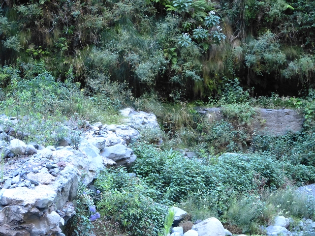 Levada de Santa Luzia — Levada de Santa Luzia (?) above the Centro tematico da Agua — photo 2