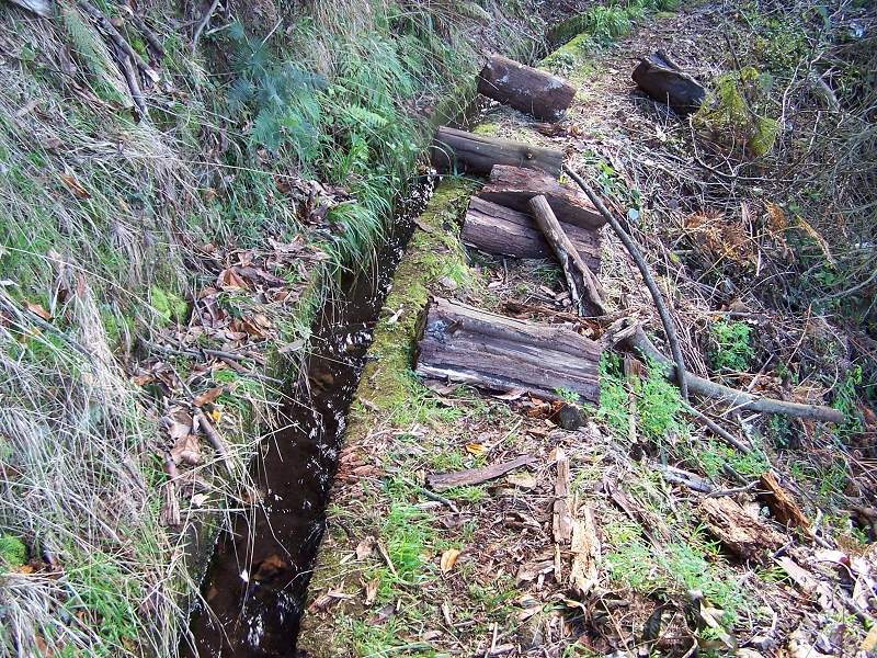 Levada de Santo Antonio — Secção 1 — foto 10