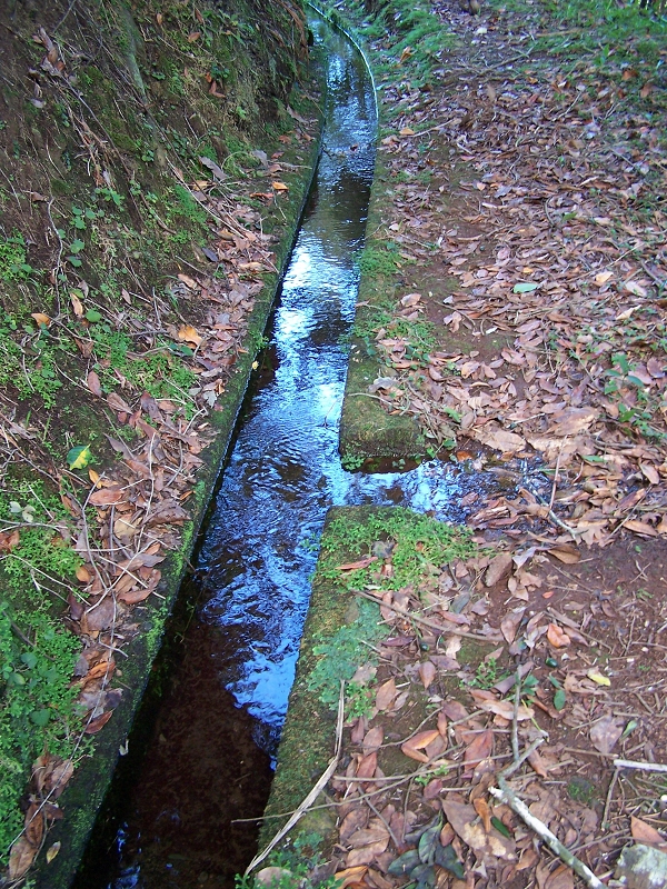 Levada de Santo Antonio — Secção 1 — foto 12