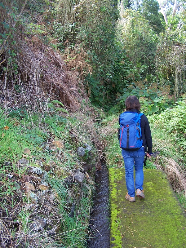 Levada de Santo Antonio — Secção 1 — foto 13