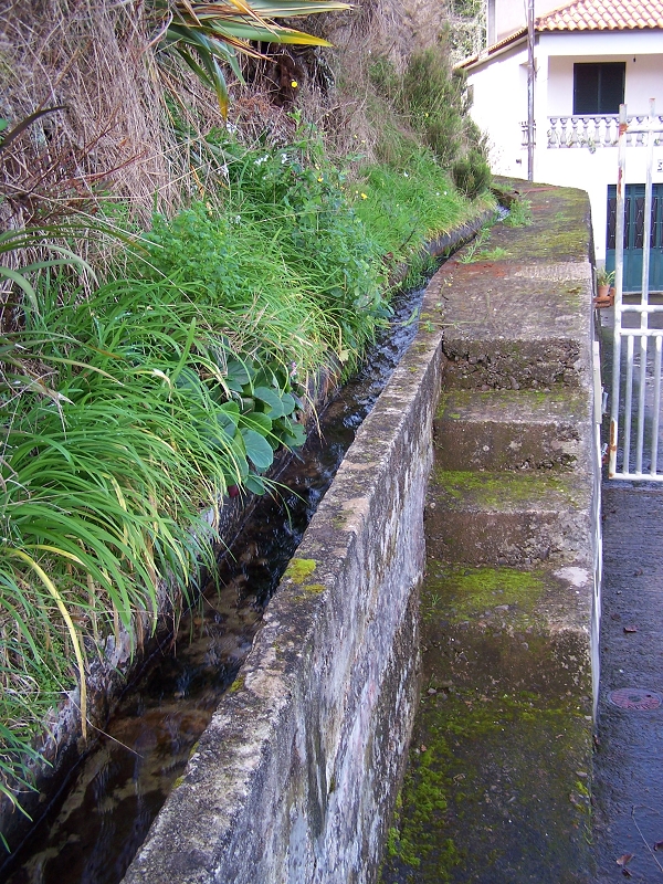 Levada de Santo Antonio — Secção 1 — foto 14