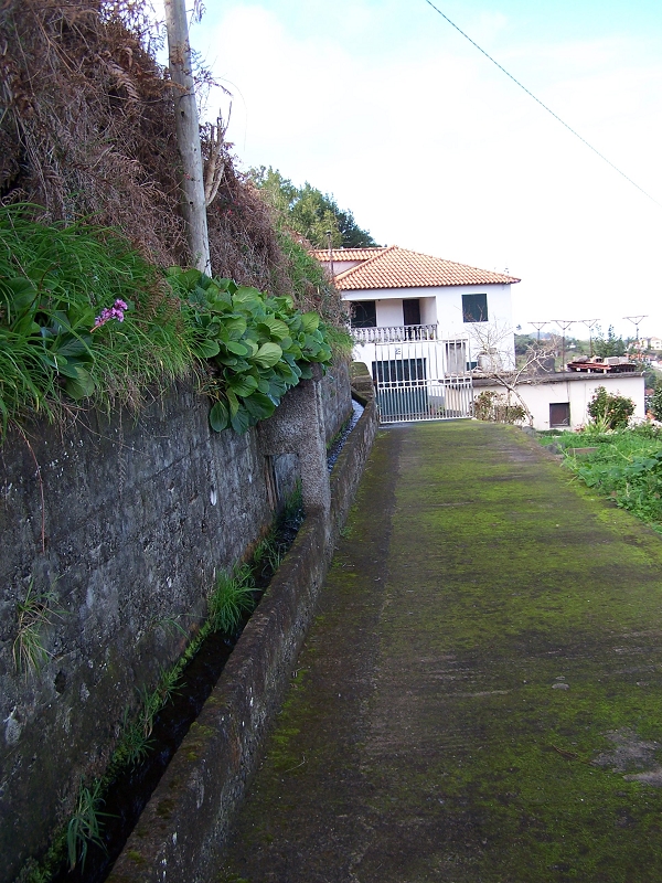 Levada de Santo Antonio — Secção 1 — foto 15
