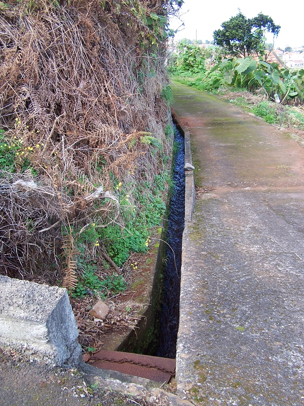 Levada de Santo Antonio — Secção 1 — foto 16