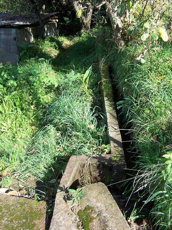 Levada de Santo Antonio — Secção 2 — foto 1